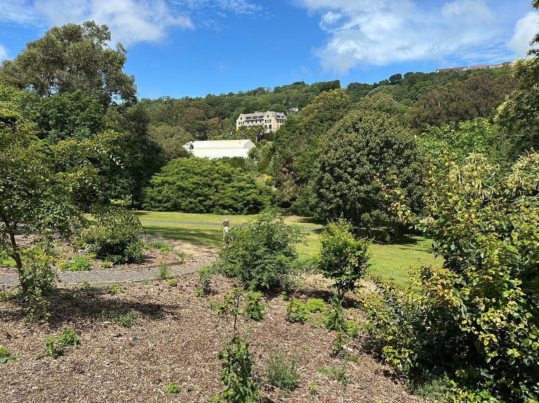 Ventnor Botanic Garden-文特诺必去景点
