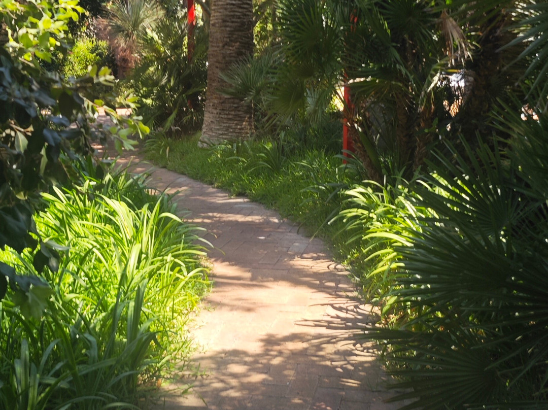 Negombo-Lacco Ameno必去景点