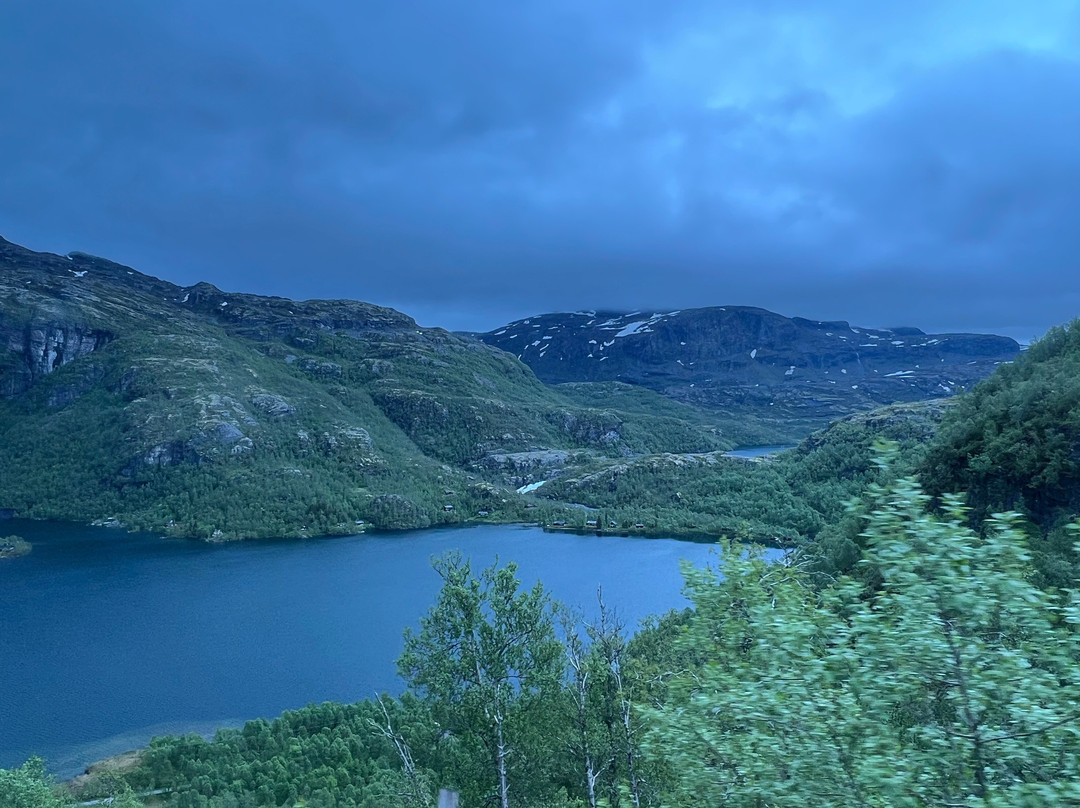 The Bergen Railway-奥斯陆必去景点