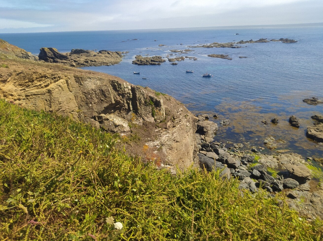 Lizard Point-Lizard必去景点