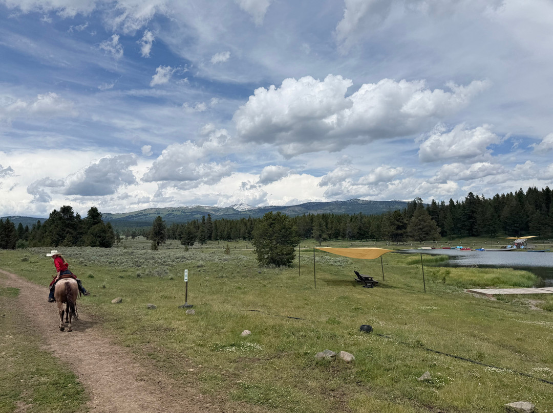 Yellowstone Horses - Eagle Ridge Ranch-艾兰帕克必去景点