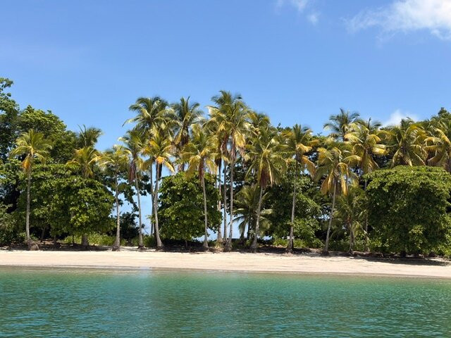 Pesca Panama-大卫市必去景点