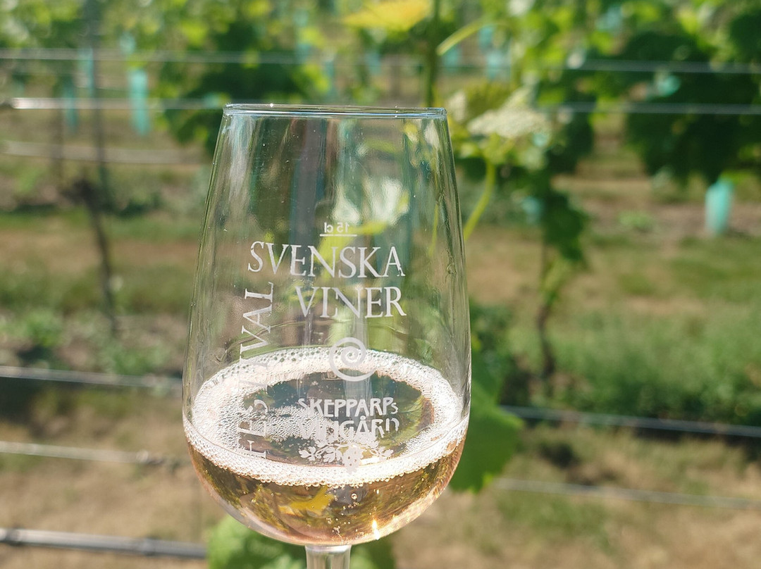 Skepparps Vingård-Kivik必去景点