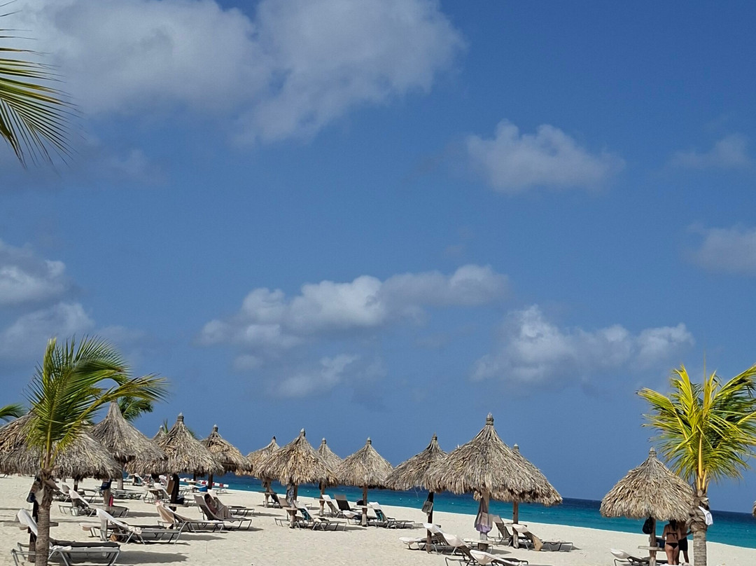Manchebo Beach-棕榈/鹰海滩必去景点