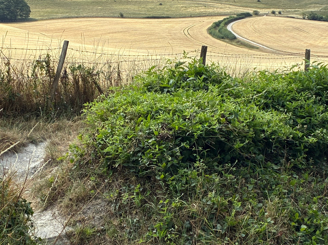 The Long Man of Wilmington-Wilmington必去景点