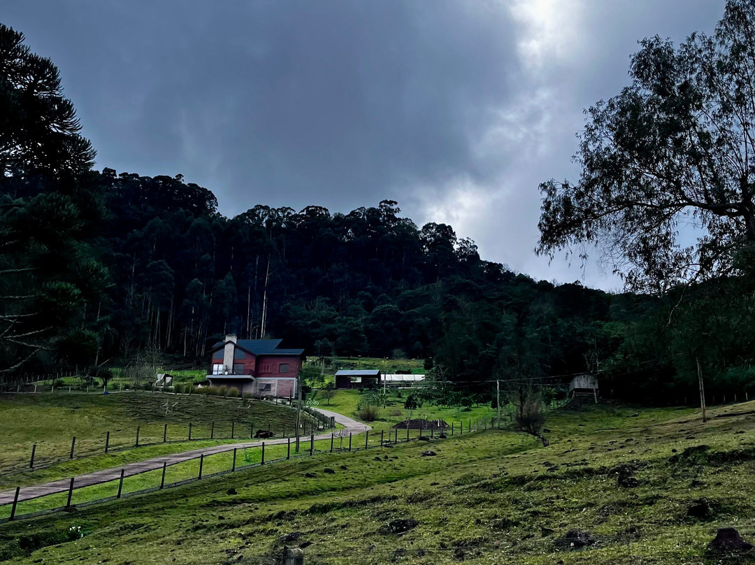 Parque Olivas de Gramado-格拉玛多必去景点