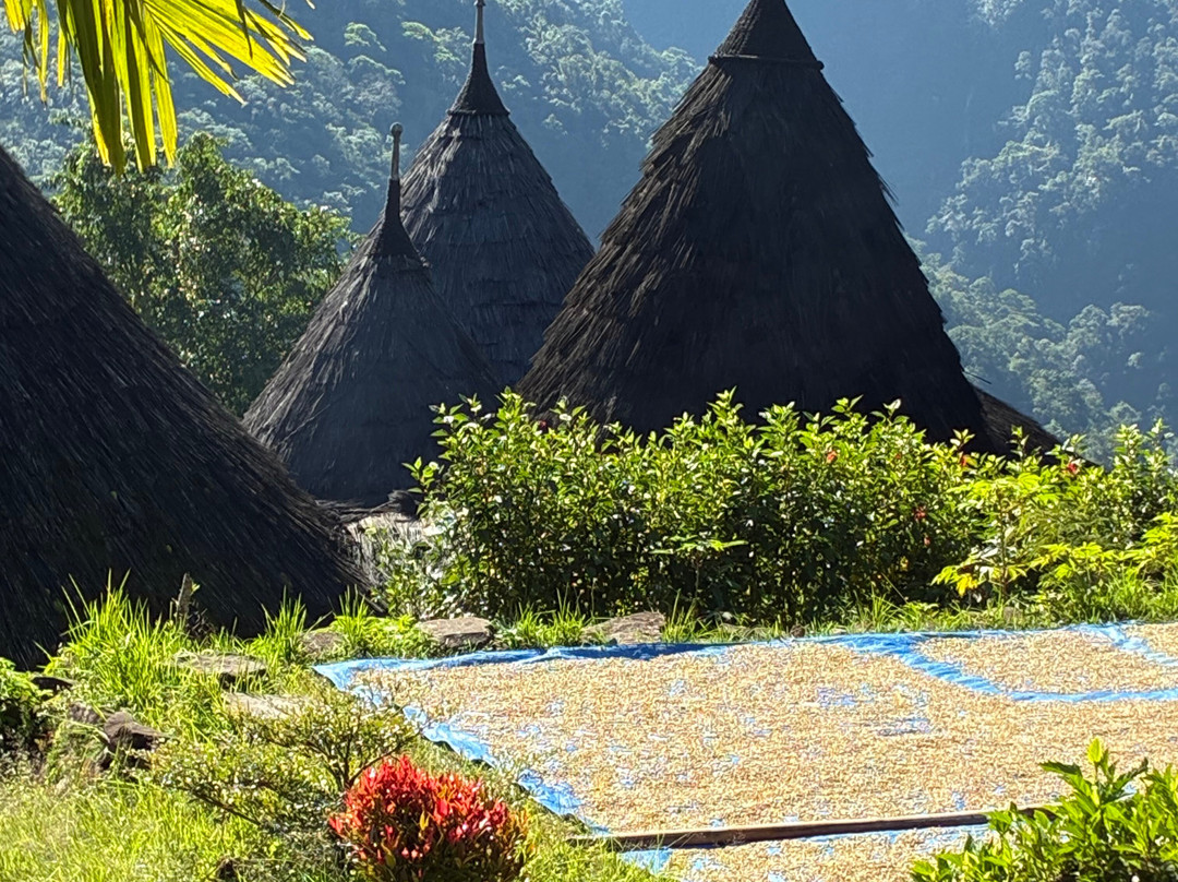 Top Komodo Tours-科莫多必去景点