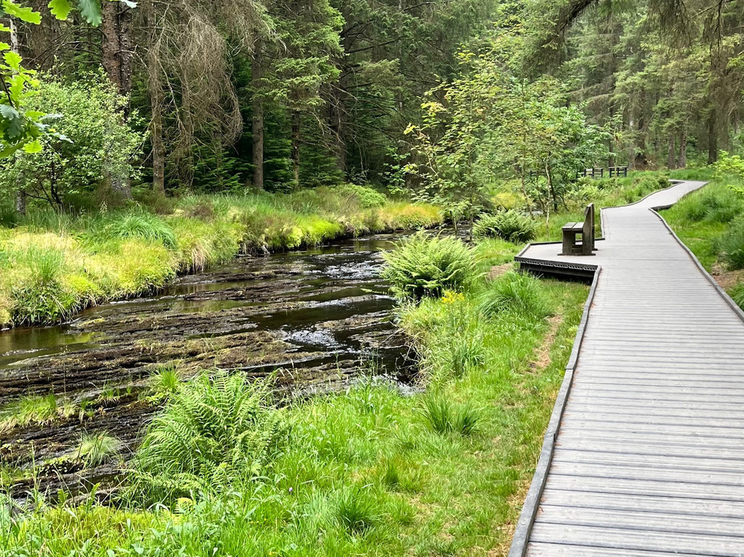 Hafren Forest-Llanidloes必去景点