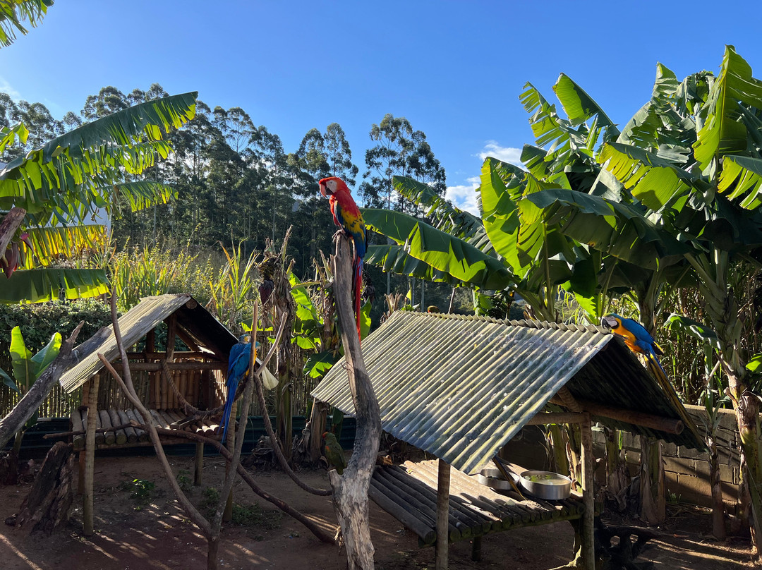 Zoo Das Aves-Pocos de Caldas必去景点