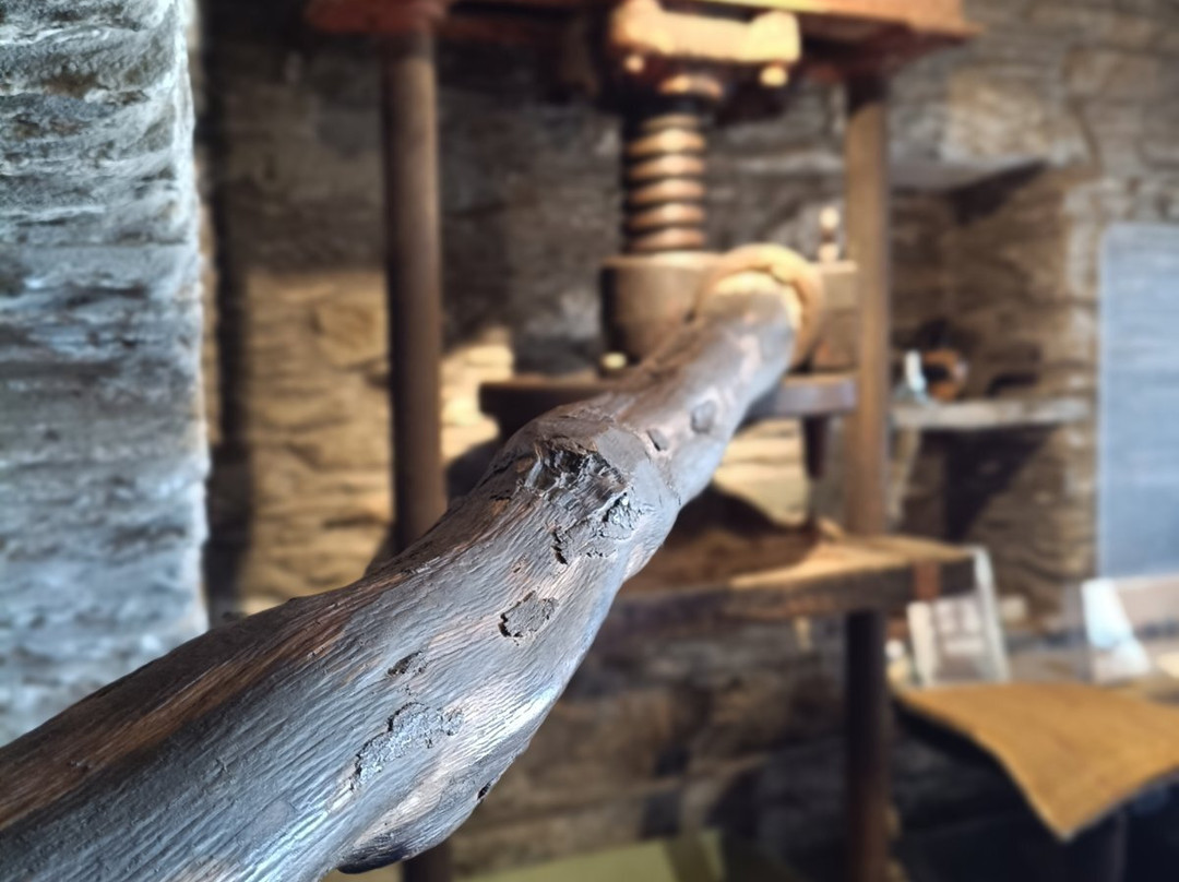 Cyclades Olive Museum-Pitrofos必去景点