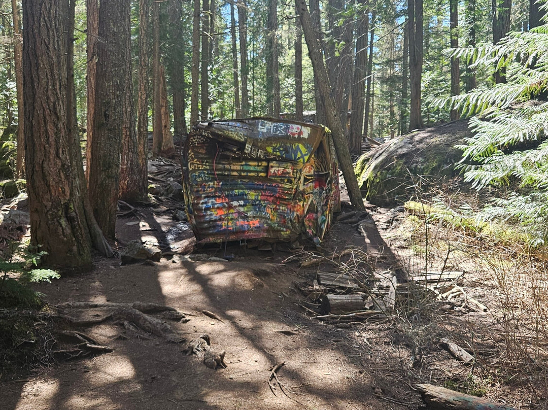 The Whistler Train Wreck Trail-惠斯勒必去景点