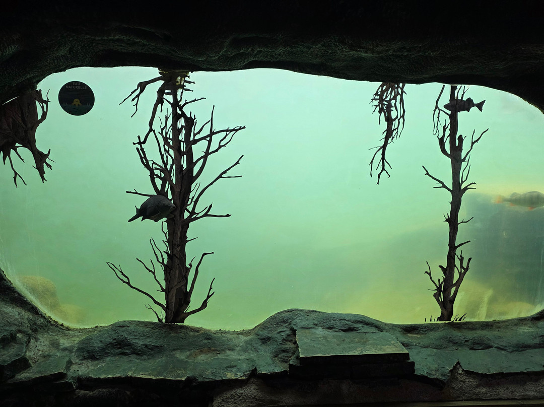 Aquarium du Perigord Noir-Le Bugue必去景点