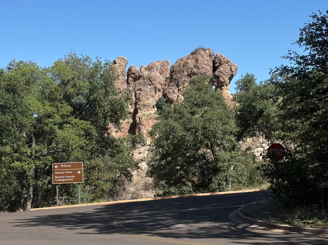 Chiricahua National Monument-Willcox必去景点