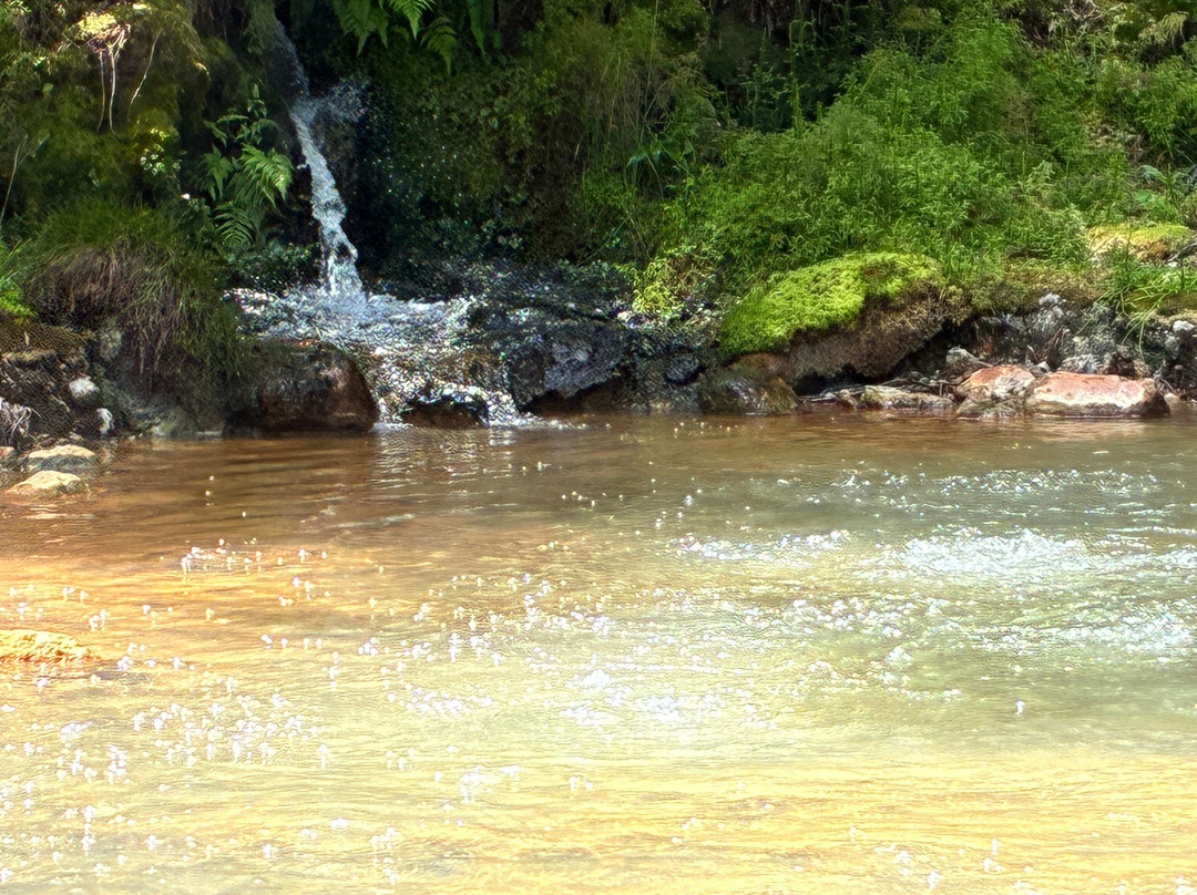Centro de Interpretação Ambiental Caldeira Velha-大里贝拉必去景点