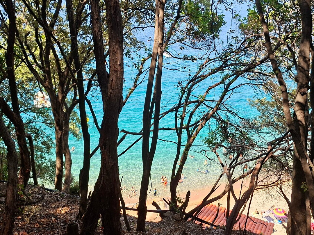Plage de Ficajola-Piana必去景点
