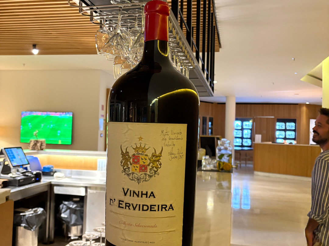 埃武拉橄榄酒店主图