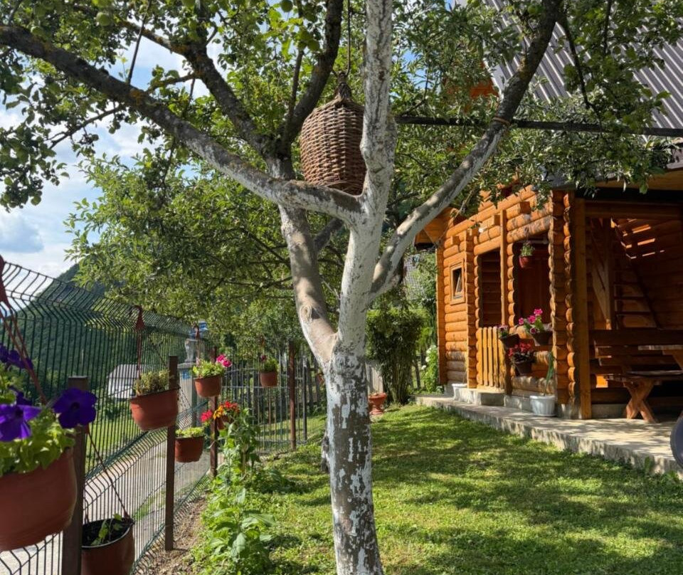 Guest House Kollata