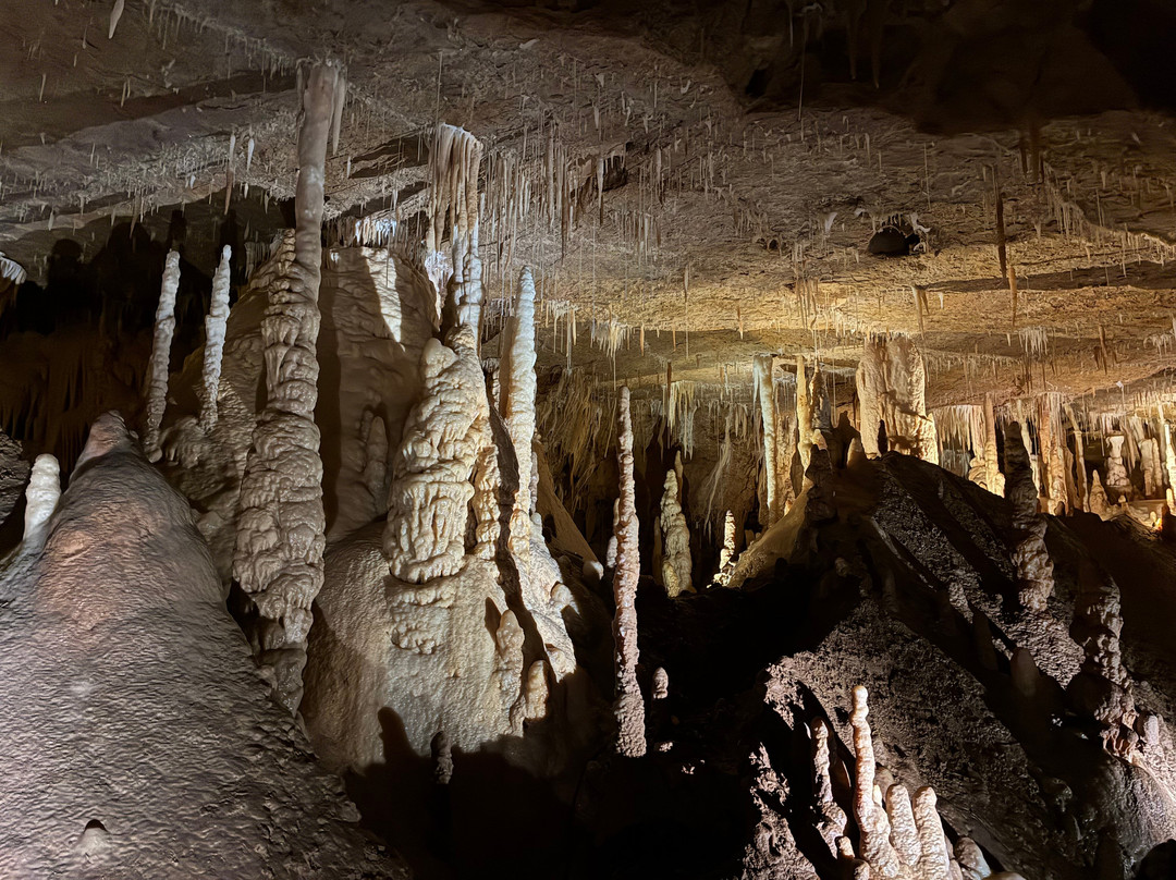Grotte De Tourtoirac-Tourtoirac必去景点