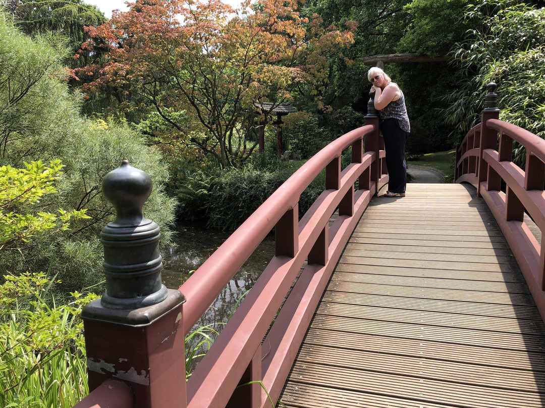 Japanese Garden Leverkusen-勒沃库森必去景点
