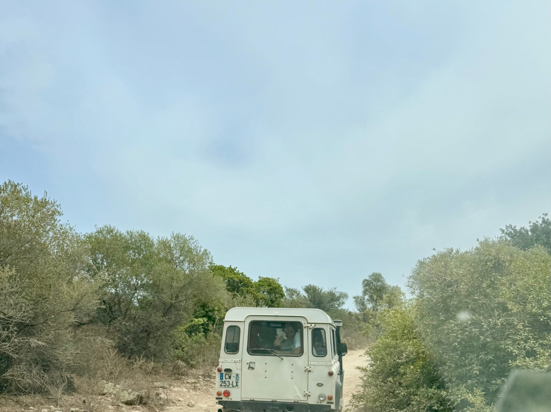 Saleccia Off Road-Saint Florent必去景点