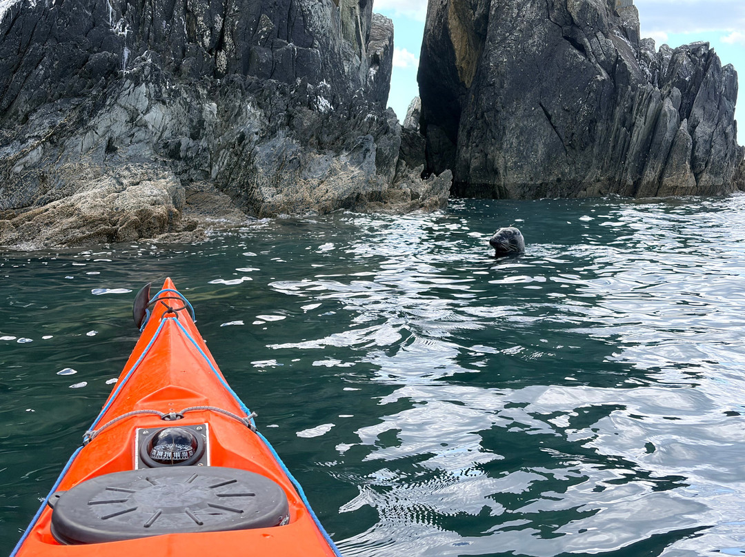 Sea Kayak Devon-达特茅斯必去景点