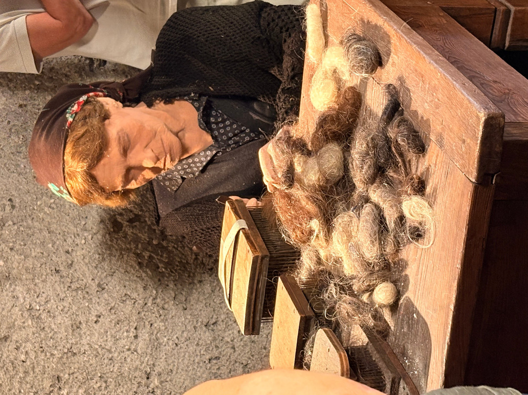 Museo Dei Cavie' - Museo Di Pels