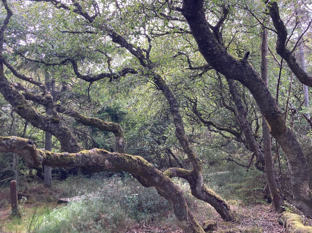 Thy National Park-Hurup必去景点