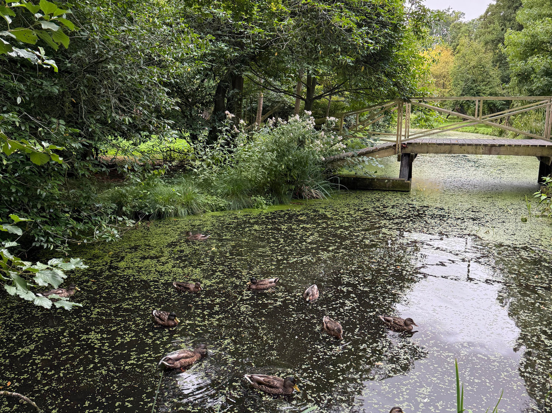 Fairhaven Woodland and Water Garden-South Walsham必去景点