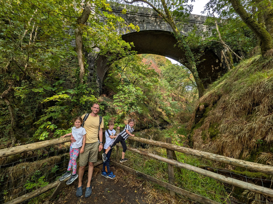 Teifi Valley Railway-Llandysul必去景点