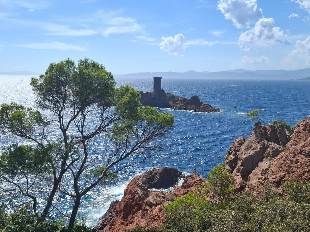 Camp 4-尼斯必去景点