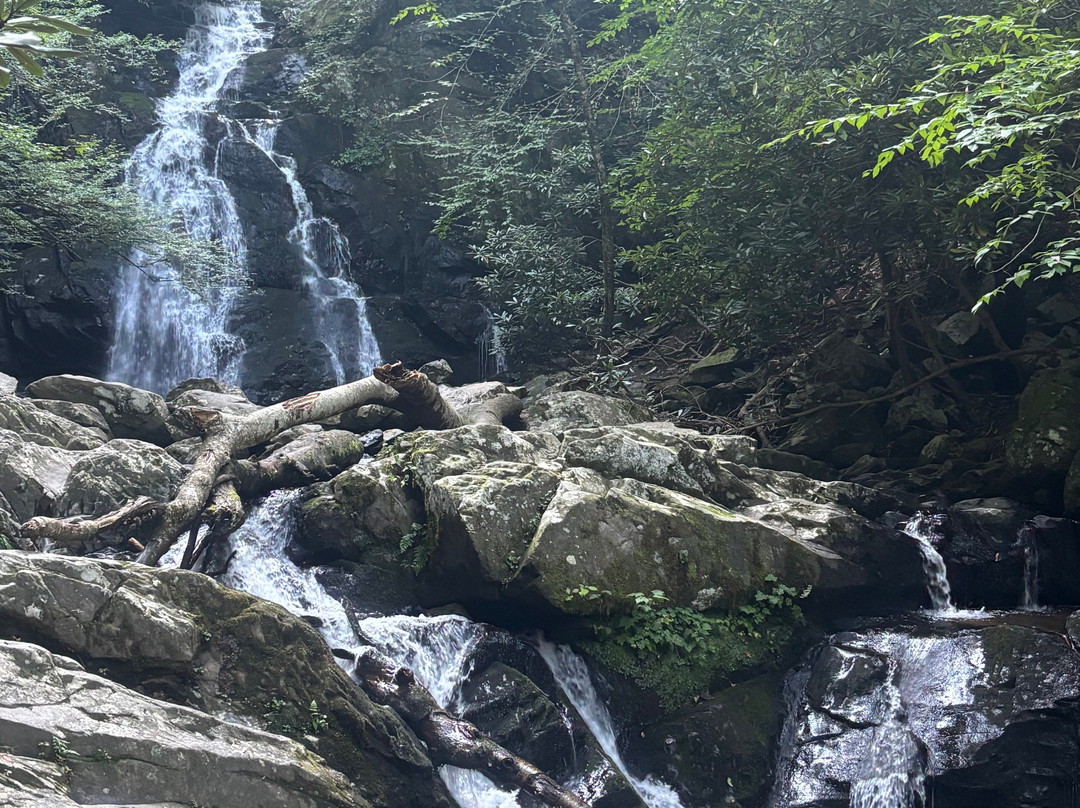 Spruce Flats Falls-大雾山国家公园必去景点