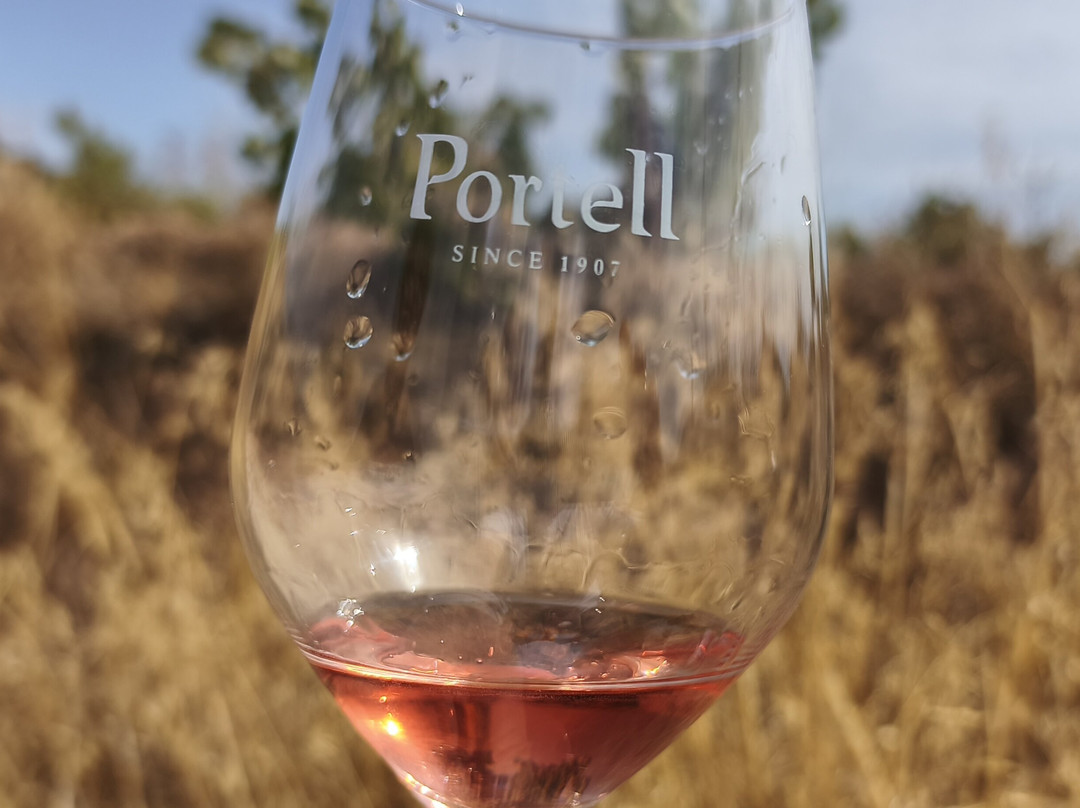 Celler Portell - Vinicola de Sarral SCCL-Sarral必去景点