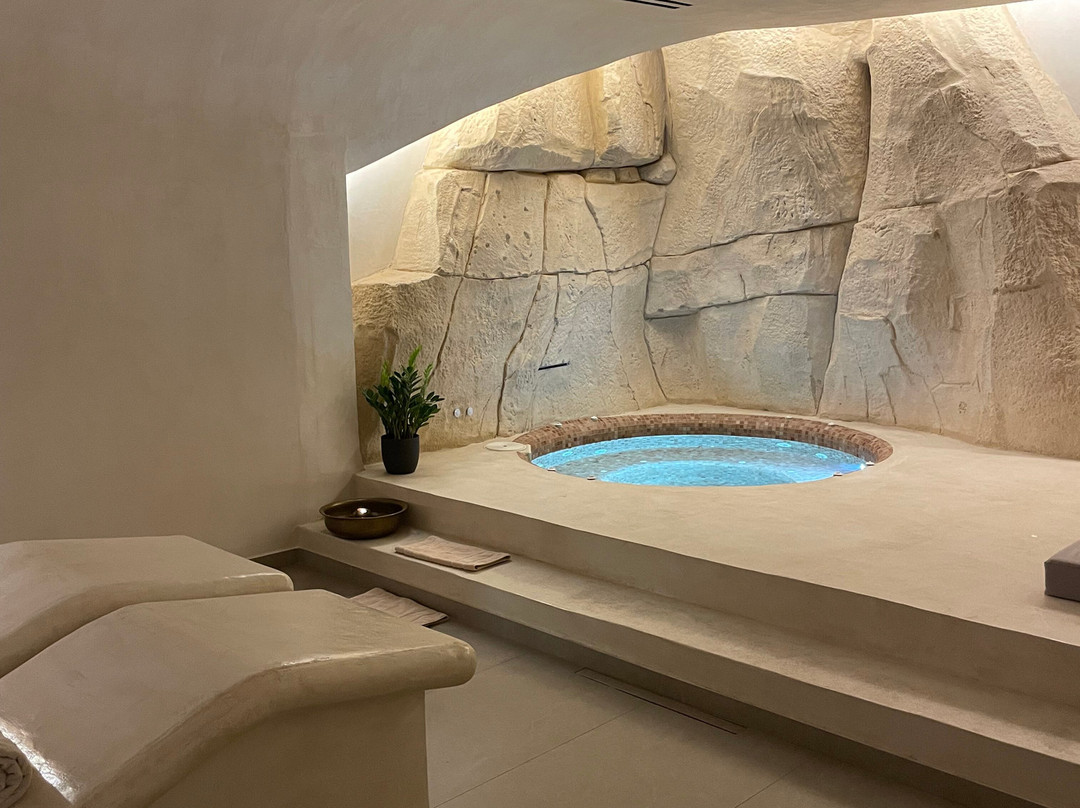 阿乐珊纳 SPA 套房酒店主图