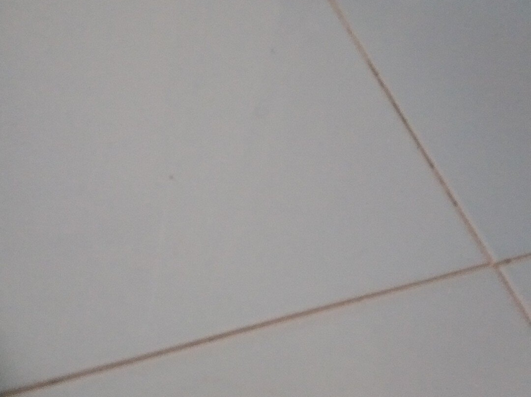 伊甸海滩俱乐部酒店主图