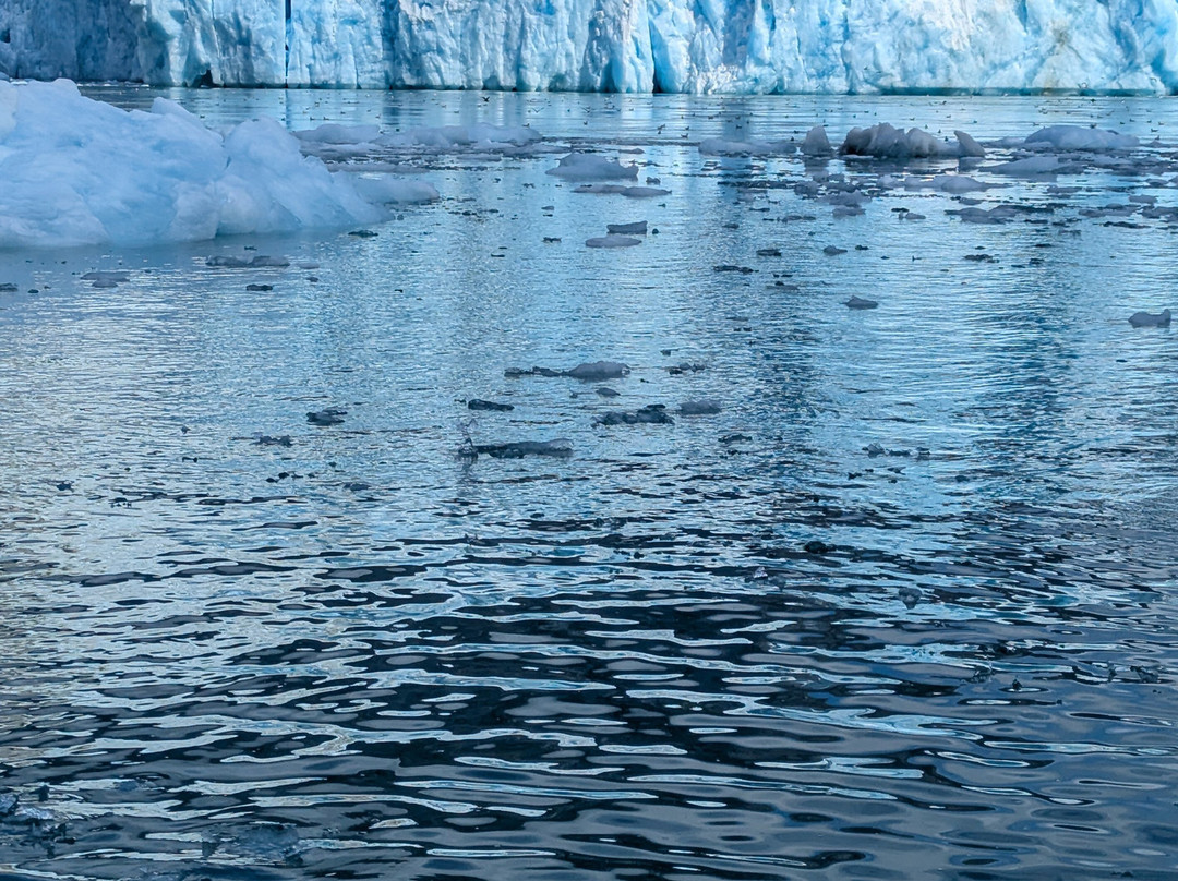 Seek Alaska Tours-Petersburg必去景点