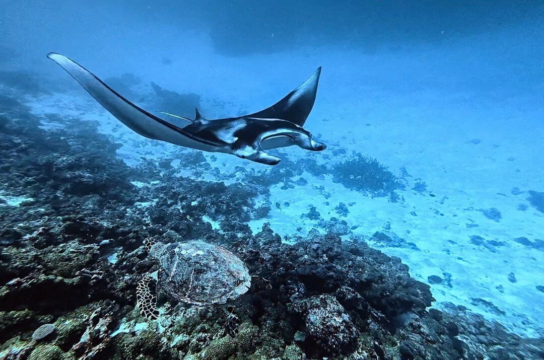 Euro-Divers Club Med Kani-卡尼翡诺岛必去景点