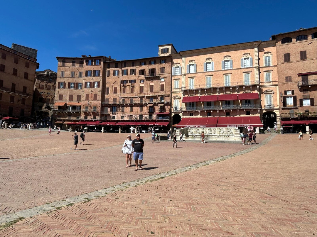 Agriturismo Lo Scalandrino 农家乐主图