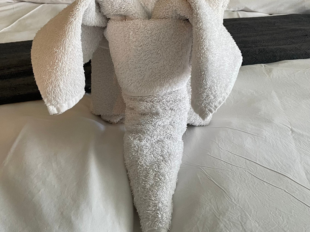 Uis Elephant Guesthouse主图