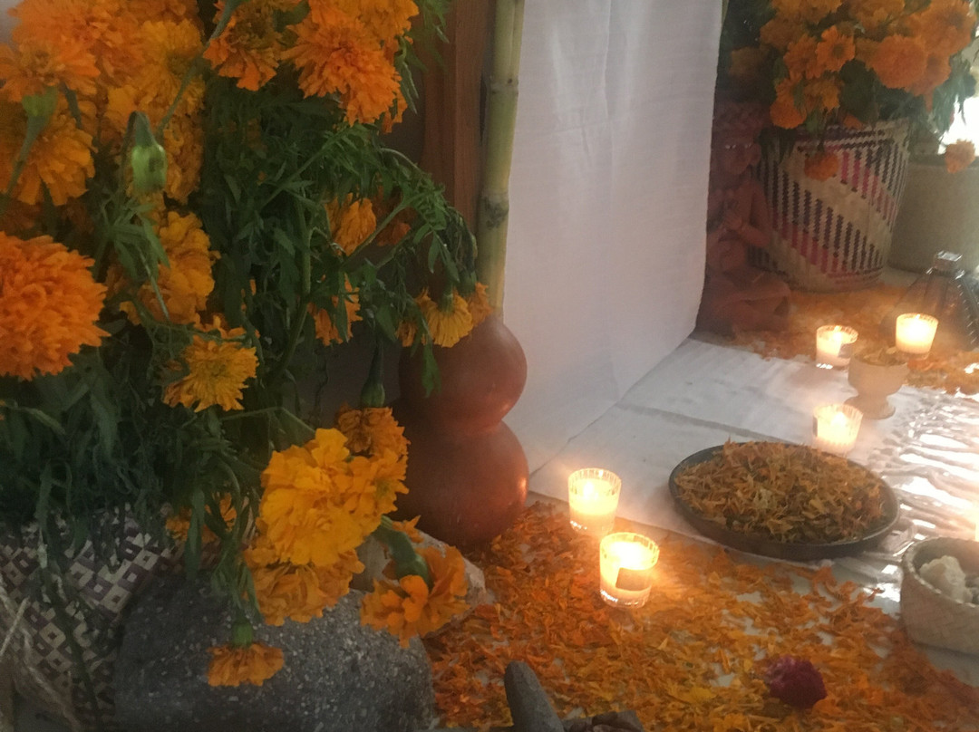 Oaxaca Mystical-瓦哈卡必去景点
