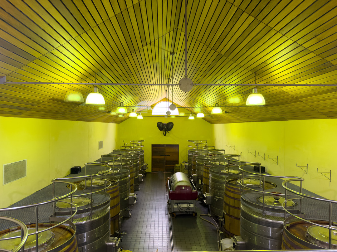 Marianne Wine Estate-斯泰伦博斯必去景点