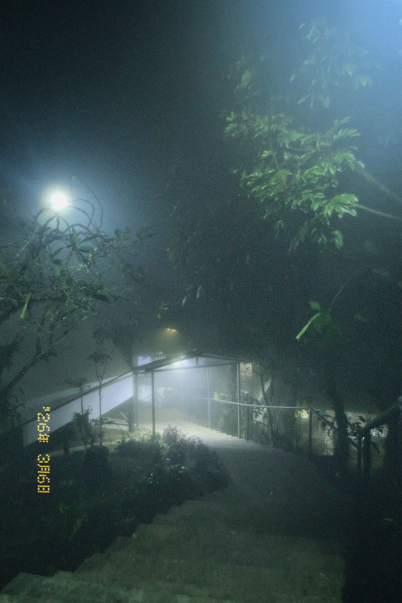 阿亚纳度假村-旅行者