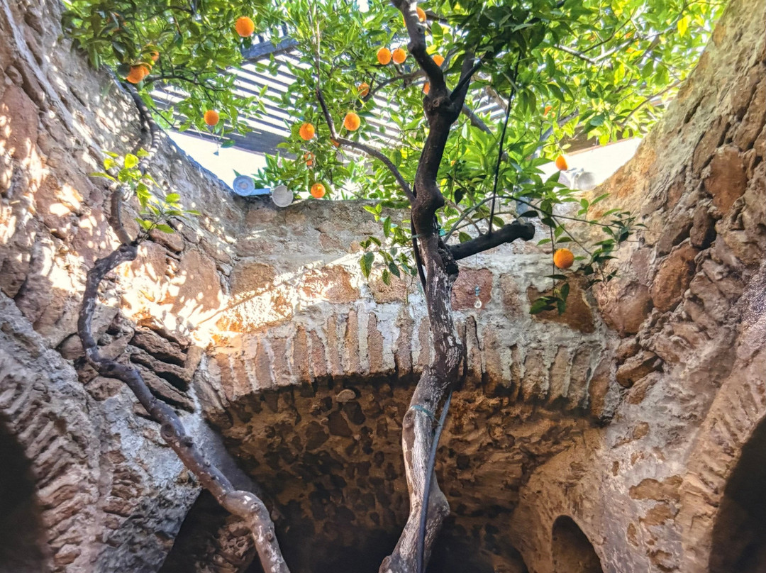 福雷斯蒂耶雷地下公园-弗雷斯诺必去景点