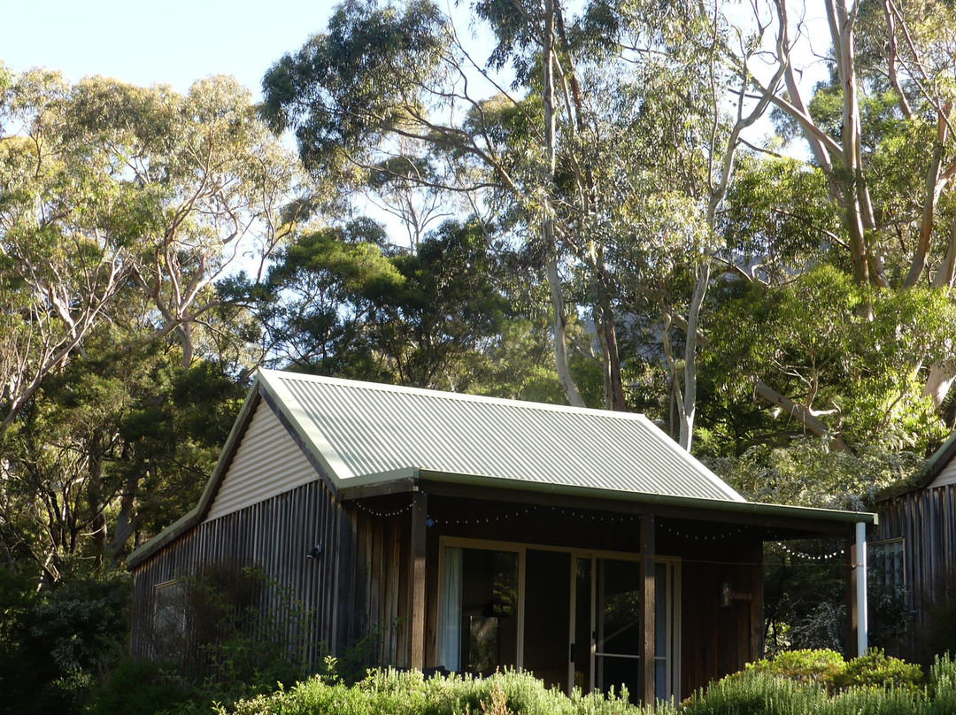 奥尔顿开放式客房小屋主图
