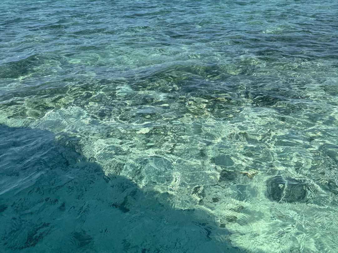 斐济椰子海滩度假村主图