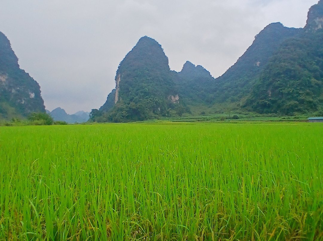 Cao Bang Loop Tour-高平必去景点