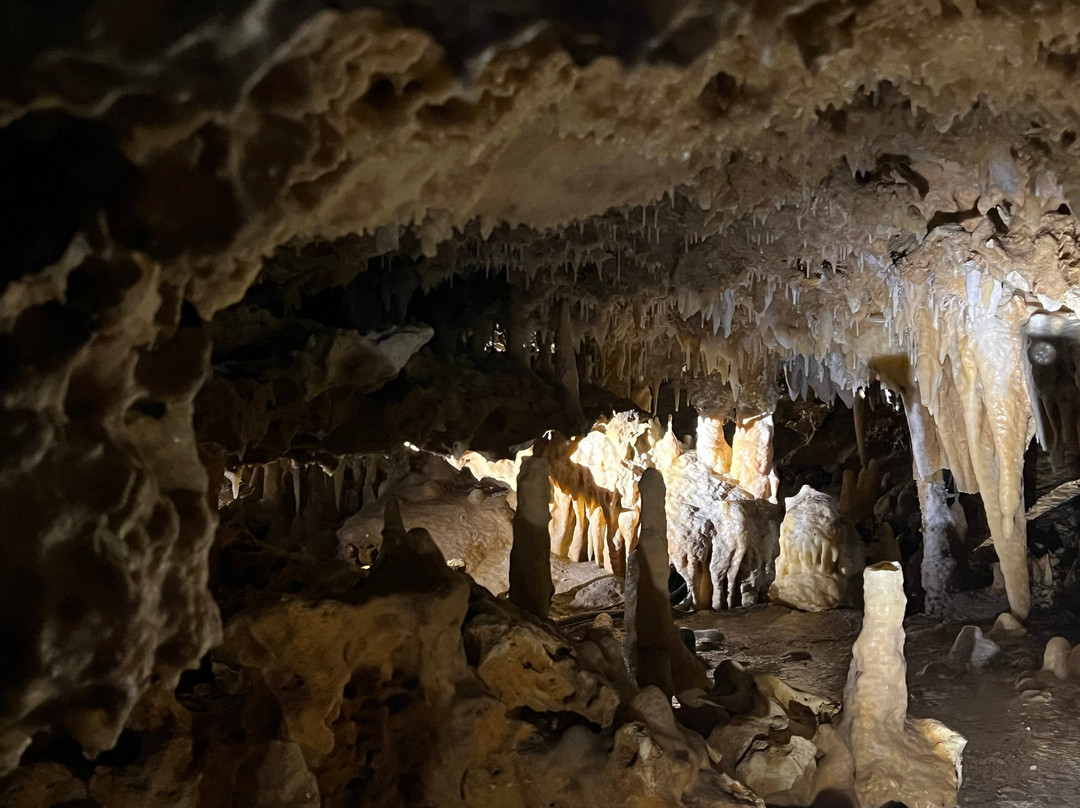 Grotte du Grand Roc-Les Eyzies-de-Tayac-Sireuil必去景点
