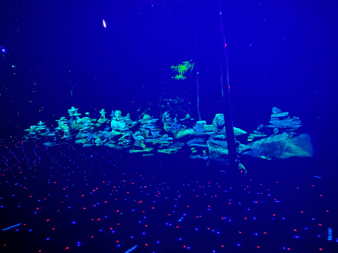 Foresta Lumina-Coaticook必去景点