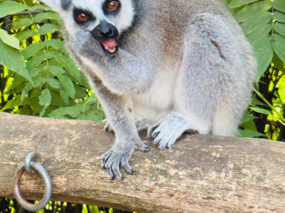 Pairi Daiza Resort主图