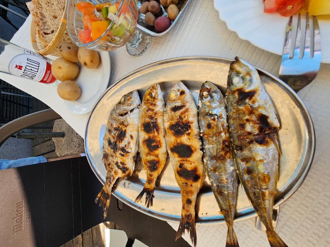 O SARDINES