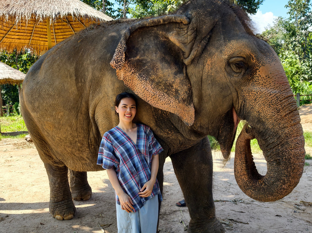 Maerim Elephant Sanctuary-夜林必去景点